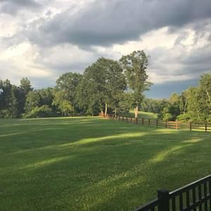 Meet your Posher, Gregory